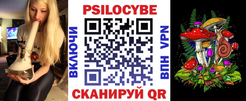 Купить закладки  Баймак  Псилоцибиновые грибы Cubensis 