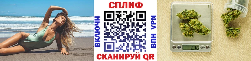 Купить где  Баймак  МАРИХУАНА SATIVA & INDICA 